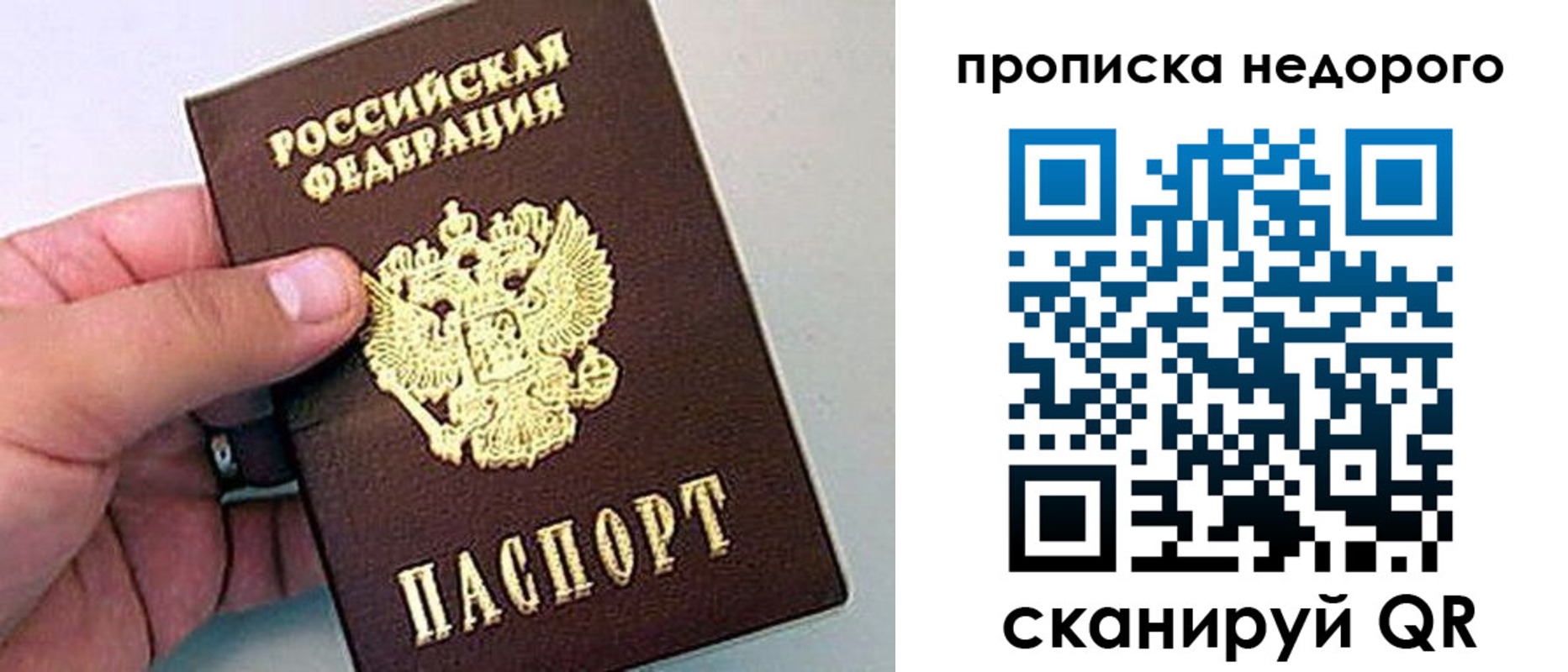 прописка для школы в Киришах